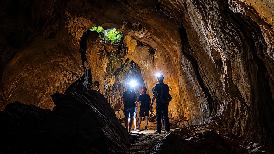 Gu2 Bat Cave