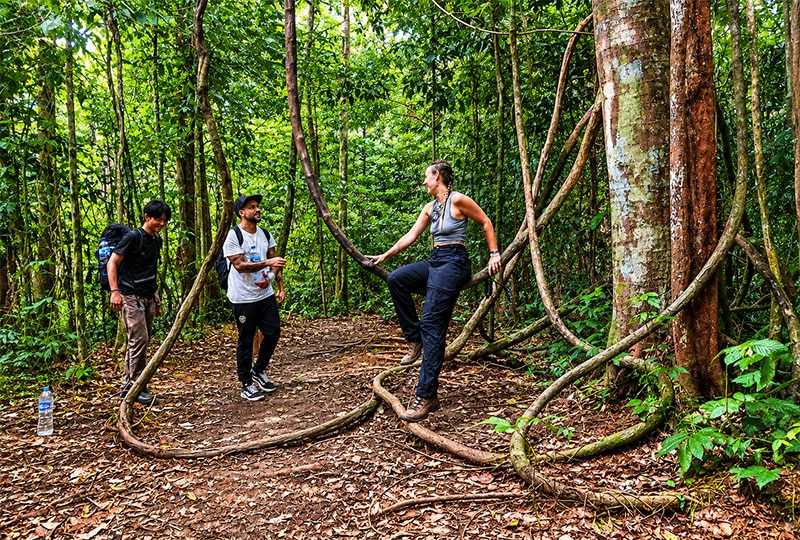 Leuser1 Gunung Leuser