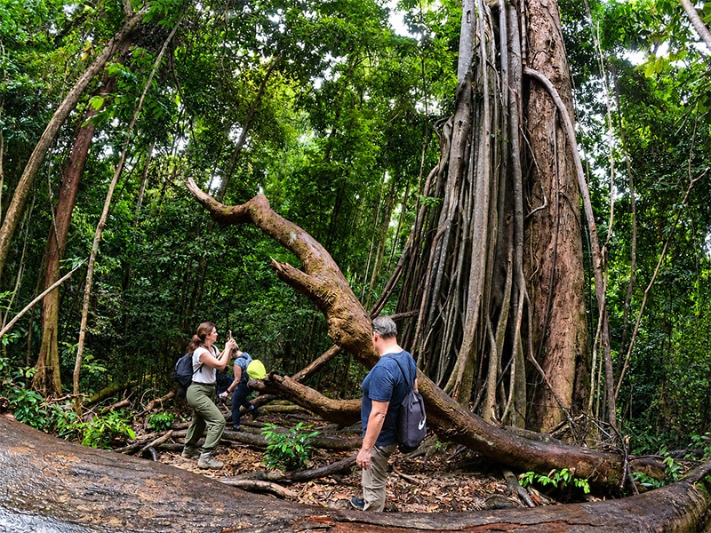 Gunung Leuser