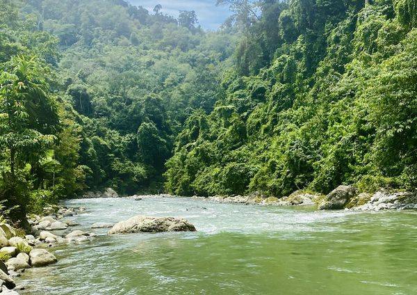 River-swimming-1