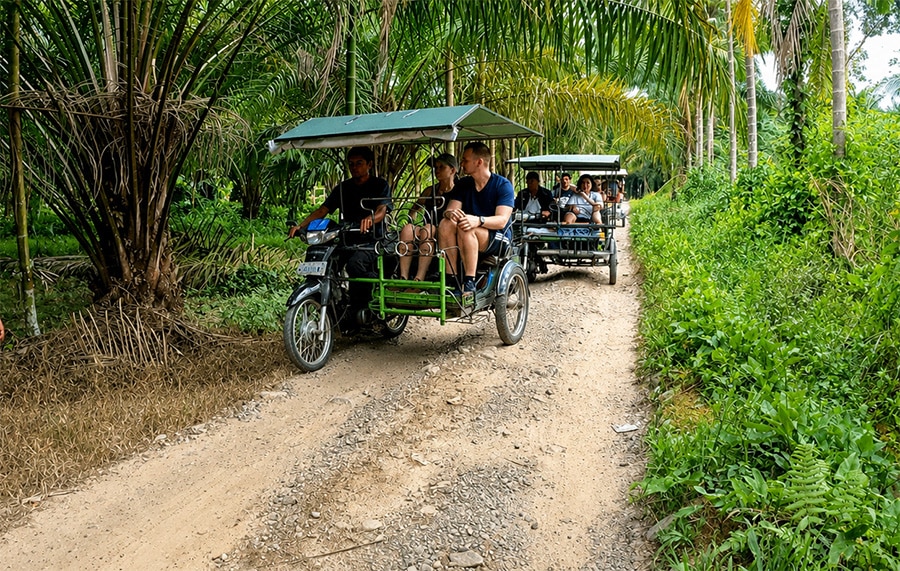 Tour Villages by Tuk-Tuk Tour Villages by Tuk-Tuk