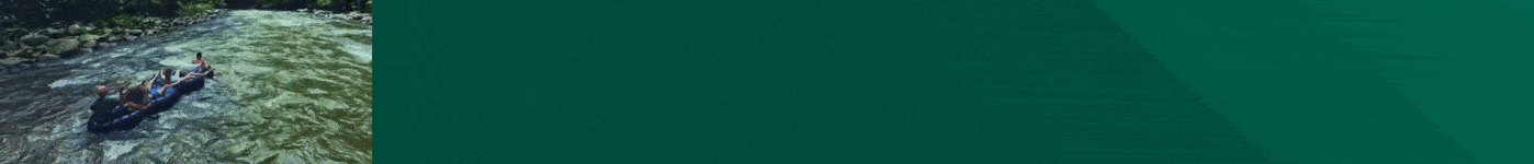 spot_img