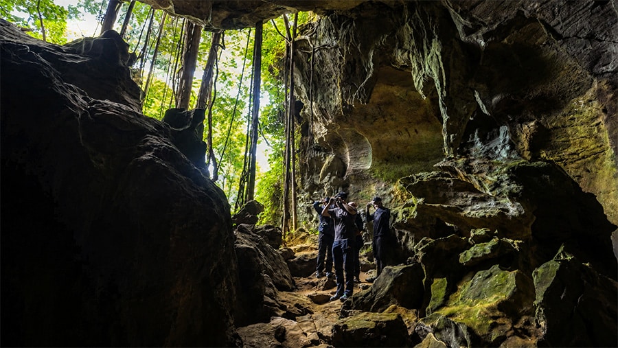 Bat Cave